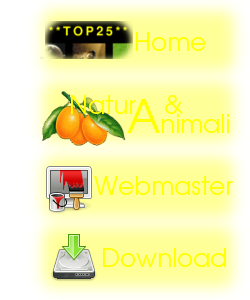 Foto Menu